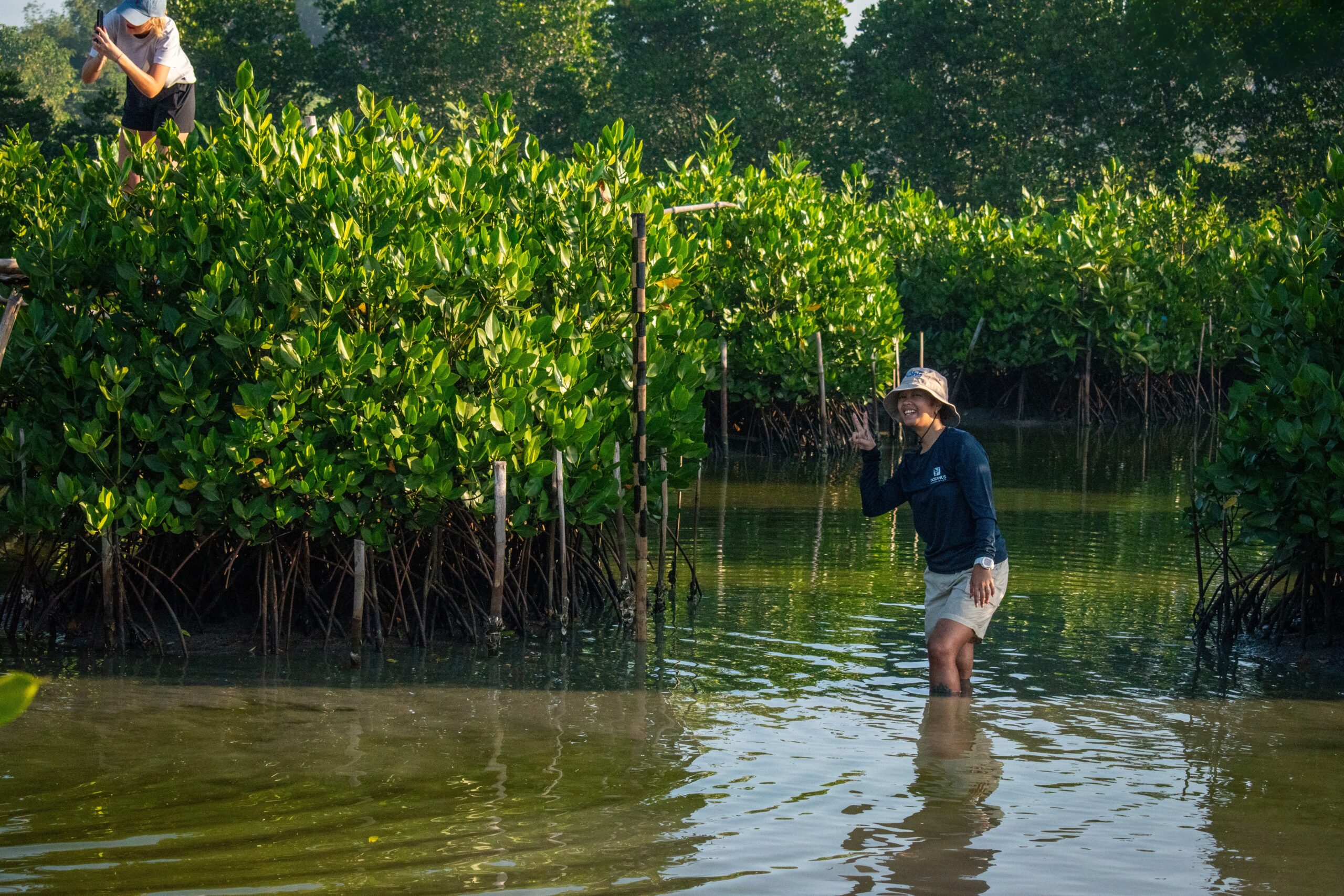 Mangroves can’t speak, so she speaks for them