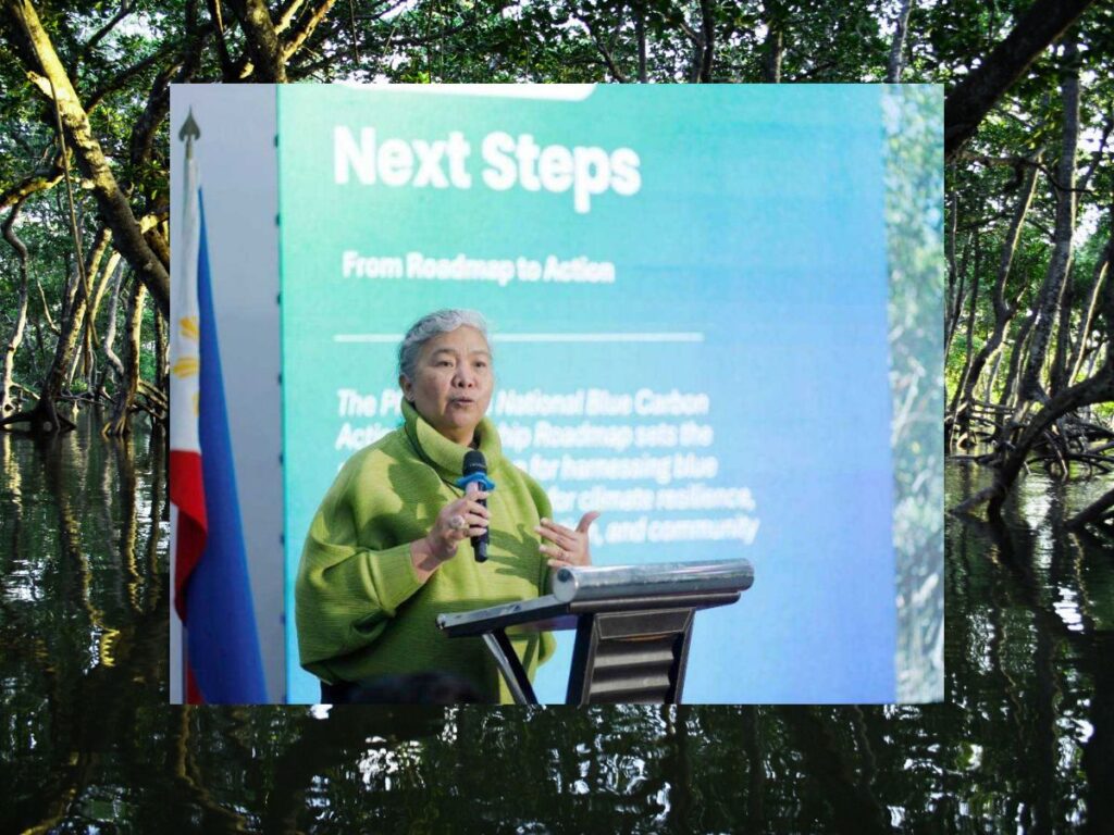 DENR pushes forward with blue carbon roadmap; mangrove experts weigh in