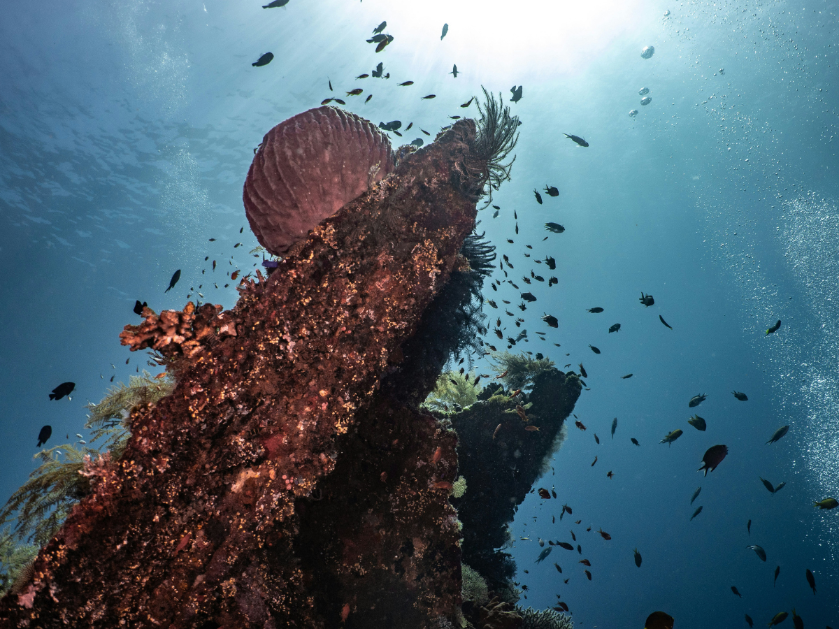 Filipino youth coalition files for ‘High Seas Marine Reservations for Future Generations’