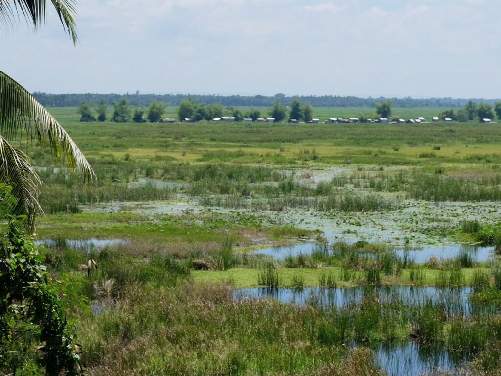 The PH’s largest intact wetland sees renewed threats of drilling amid global fuel crisis