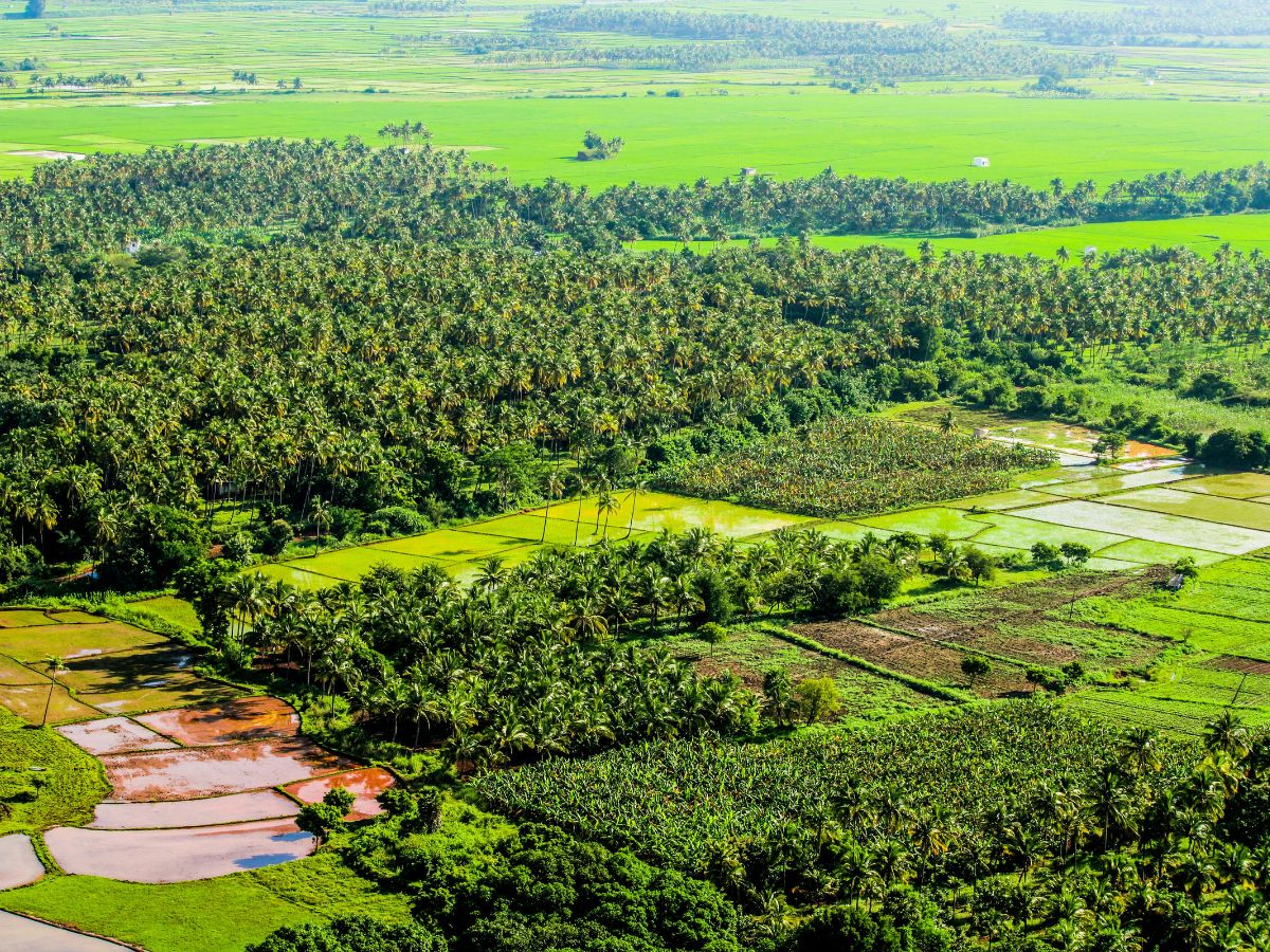 Explainer: Pax Silica to develop first ‘AI acceleration hub’ in Clark—what does it mean for the Philippines?