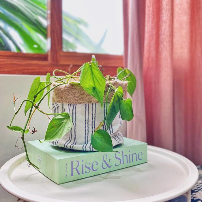 reversible planters organizers kantarines white home rags2riches 481570 700x 7628424f aea6 4236 9a9c 24d57593aa33